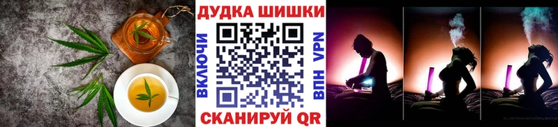 Cannafood конопля  MEGA маркетплейс  Вытегра 