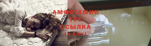 амф Мегион