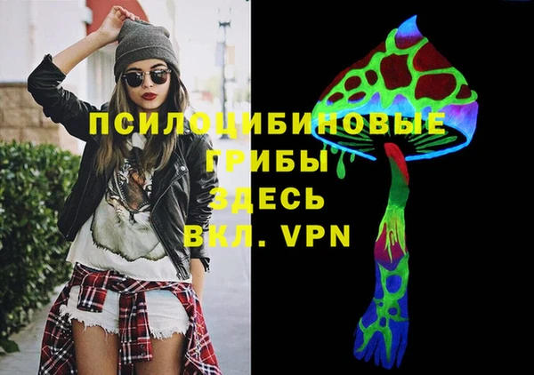 мдпв Медногорск